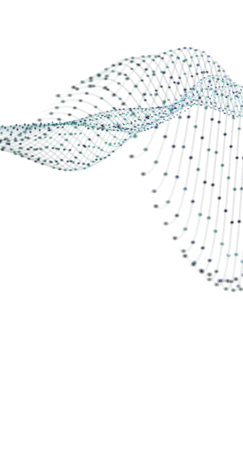 сеть